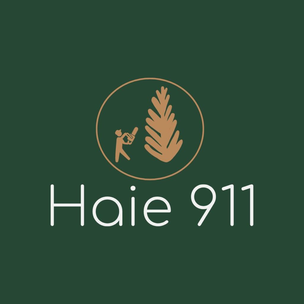 Haie 911